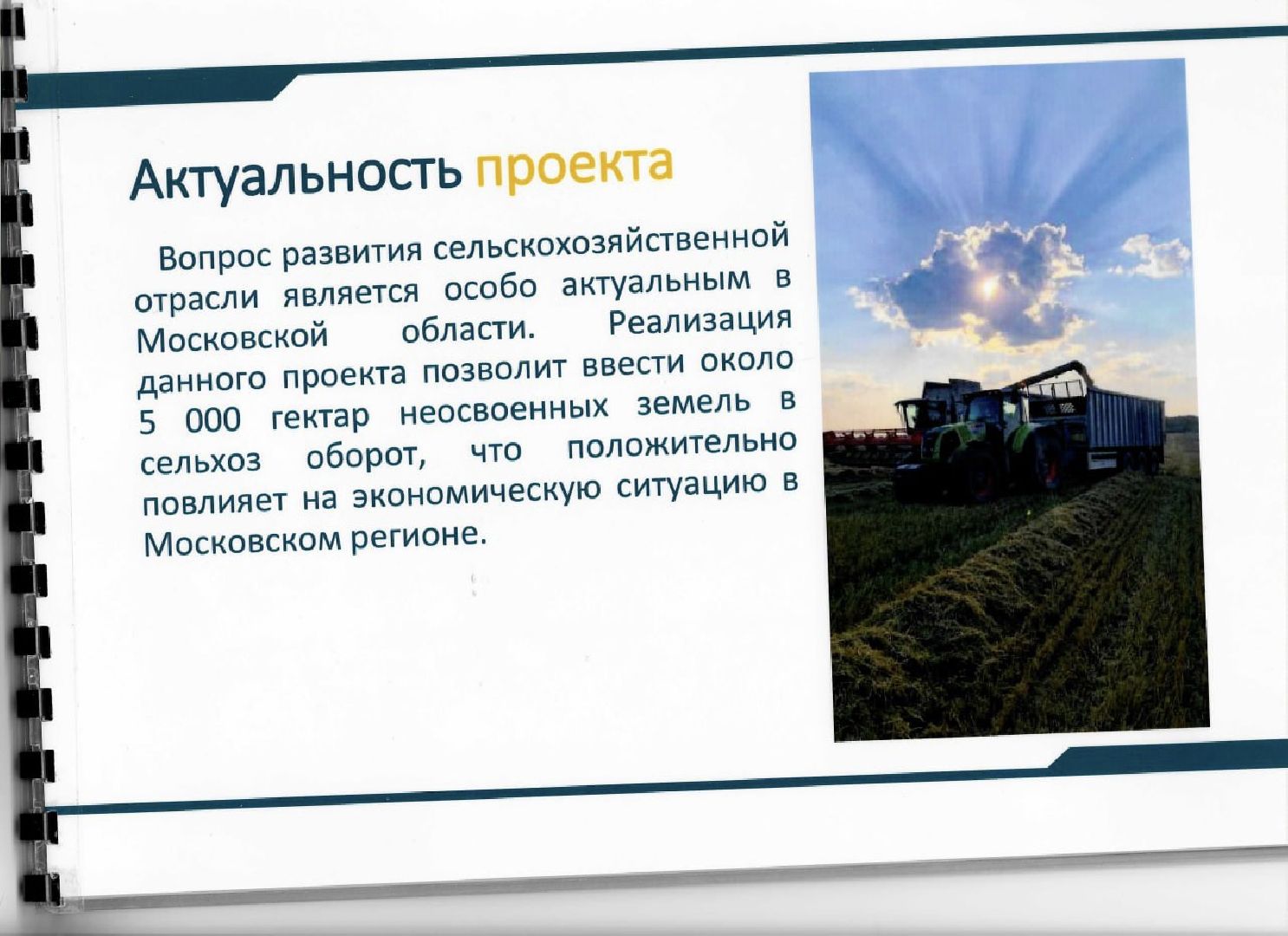 шаховская, коровы, животноводство, ферма,