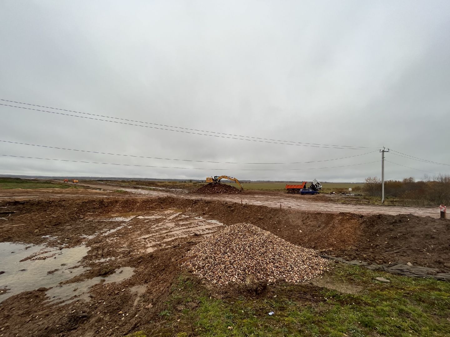 шаховская, коровы, животноводство, ферма,