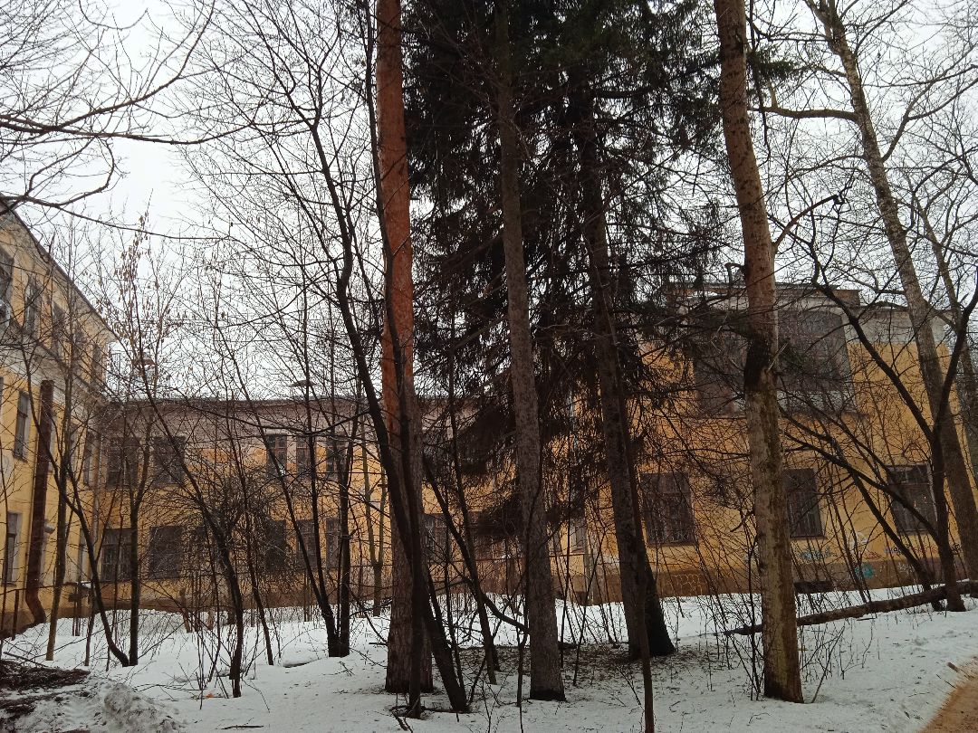 кикбоксинг, турнтр, лоу-кик, фулл-контакт, медаль