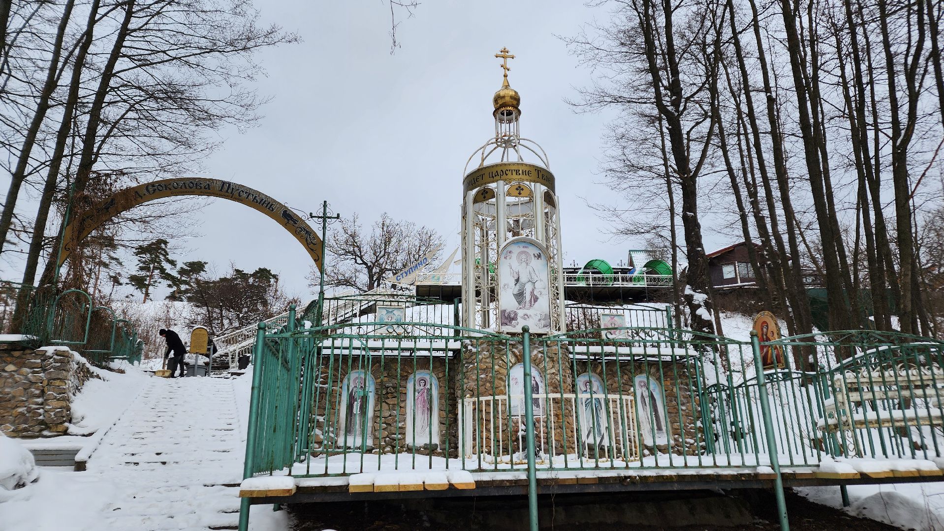 ступино, крещенские купания, медицина подмосковья,