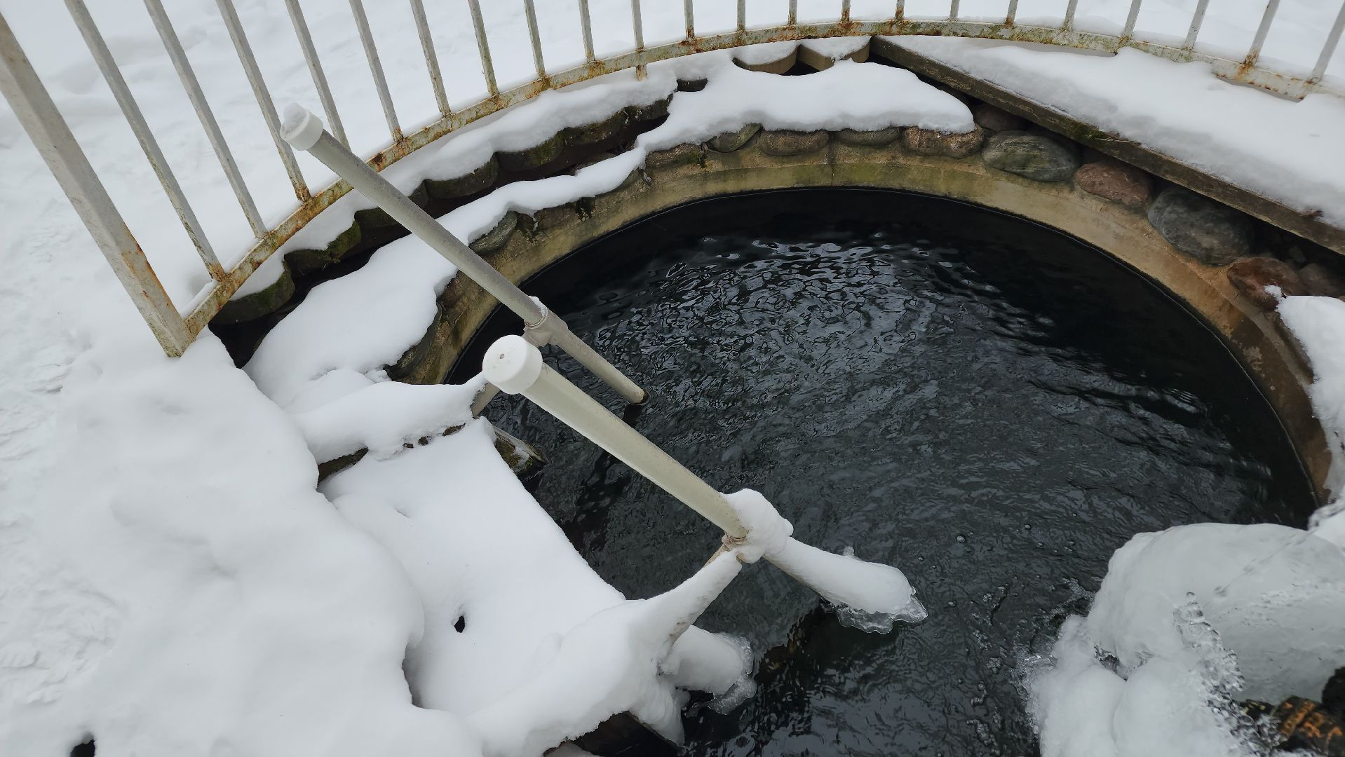 ступино, крещенские купания, медицина подмосковья,