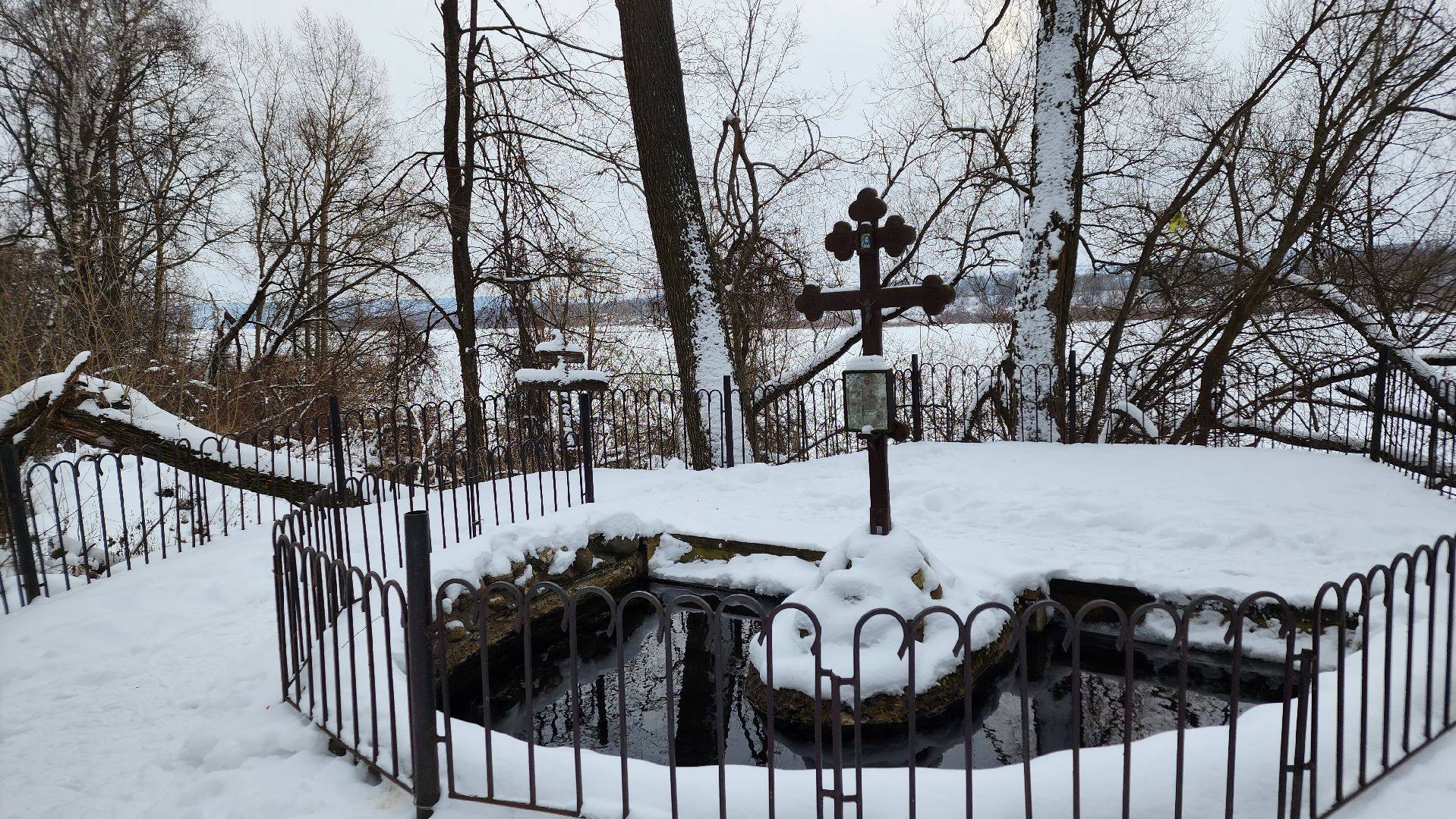 ступино, крещенские купания, медицина подмосковья,