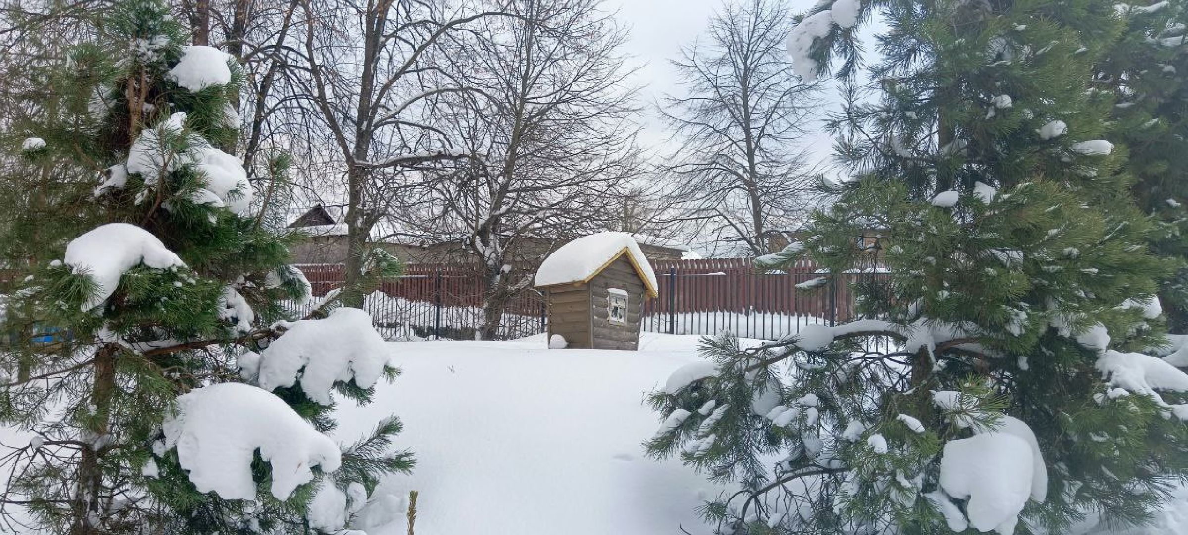 Дмитров, Коммунальное ЧП, Семешки,