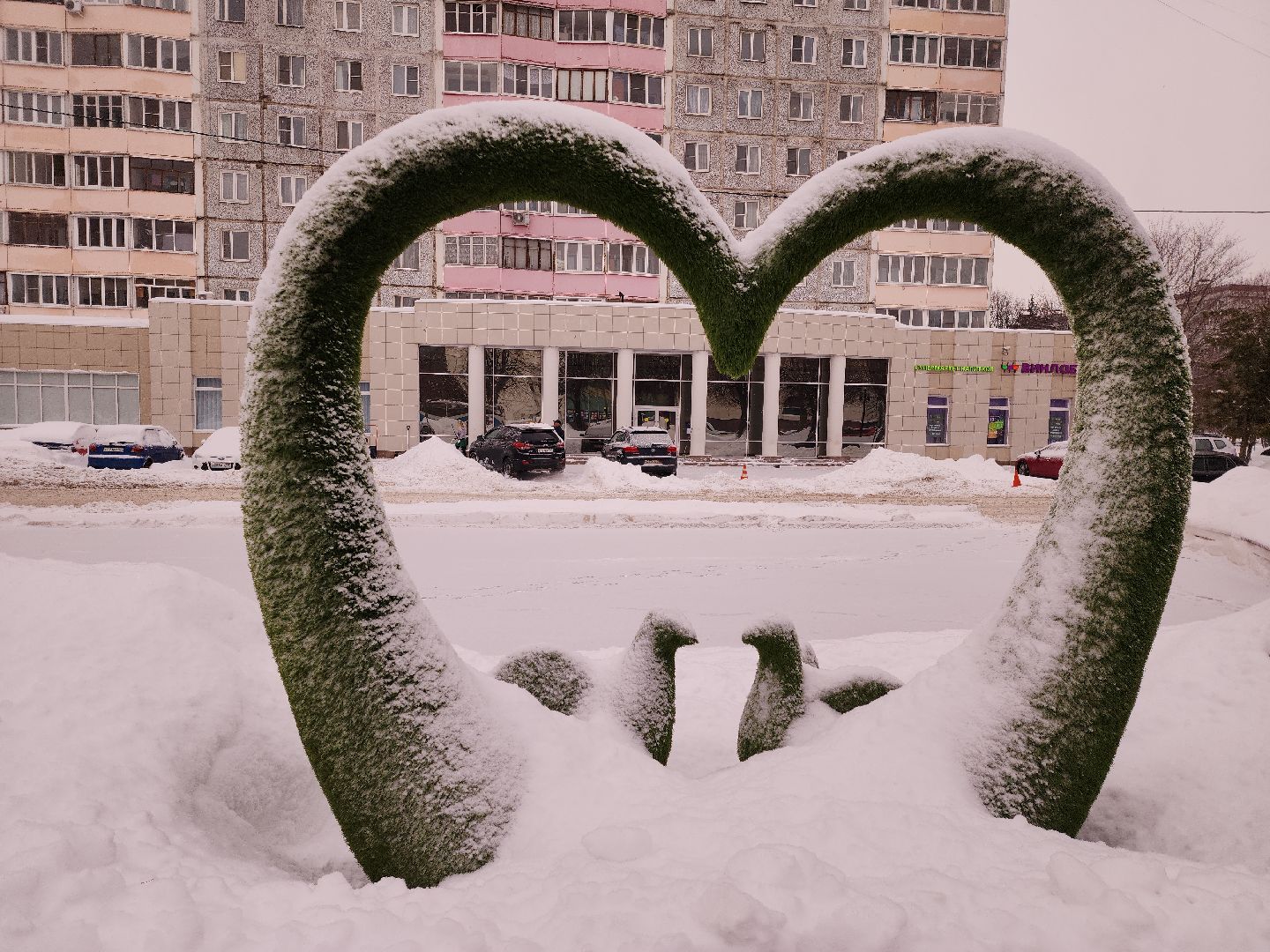 коломна, общество, итоги года,