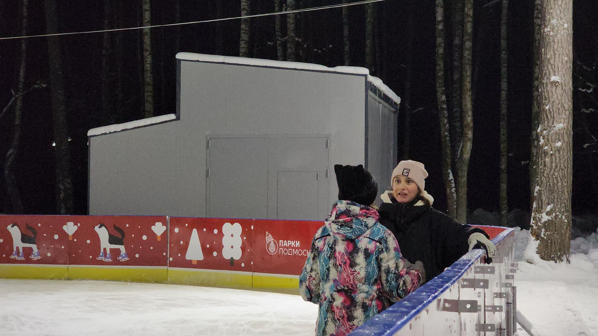 Зима в Подмосковье, каток, Центральный парк, Ногинск, Богородский городской округ,