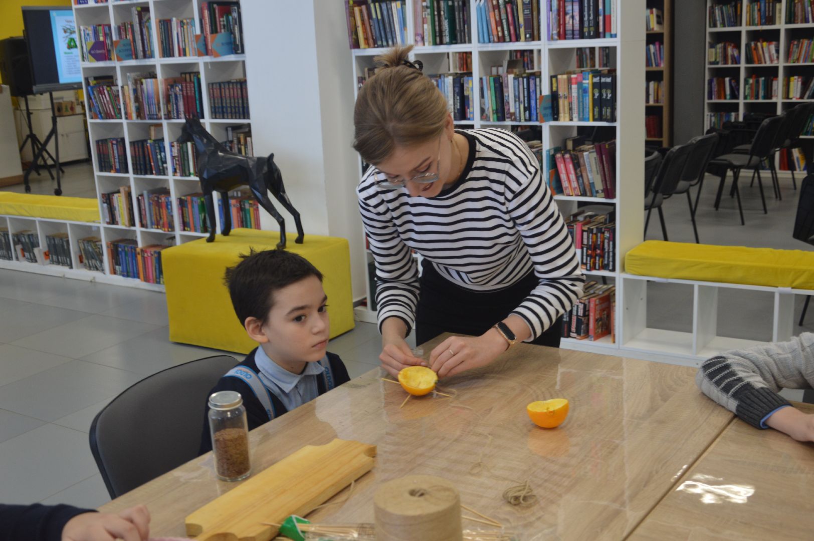 шатура, эко-кормушки, покормите птиц, эко-акция, экология, экологическая акция, экология - дело кажного,