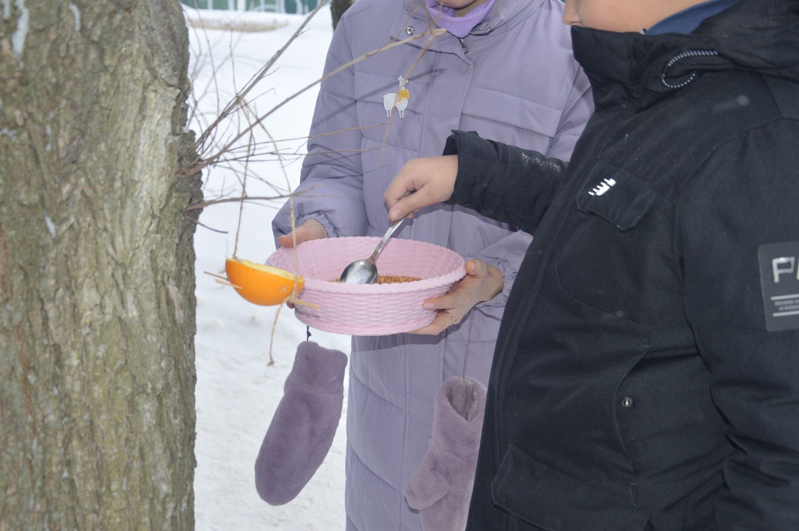 шатура, эко-кормушки, покормите птиц, эко-акция, экология, экологическая акция, экология - дело кажного,