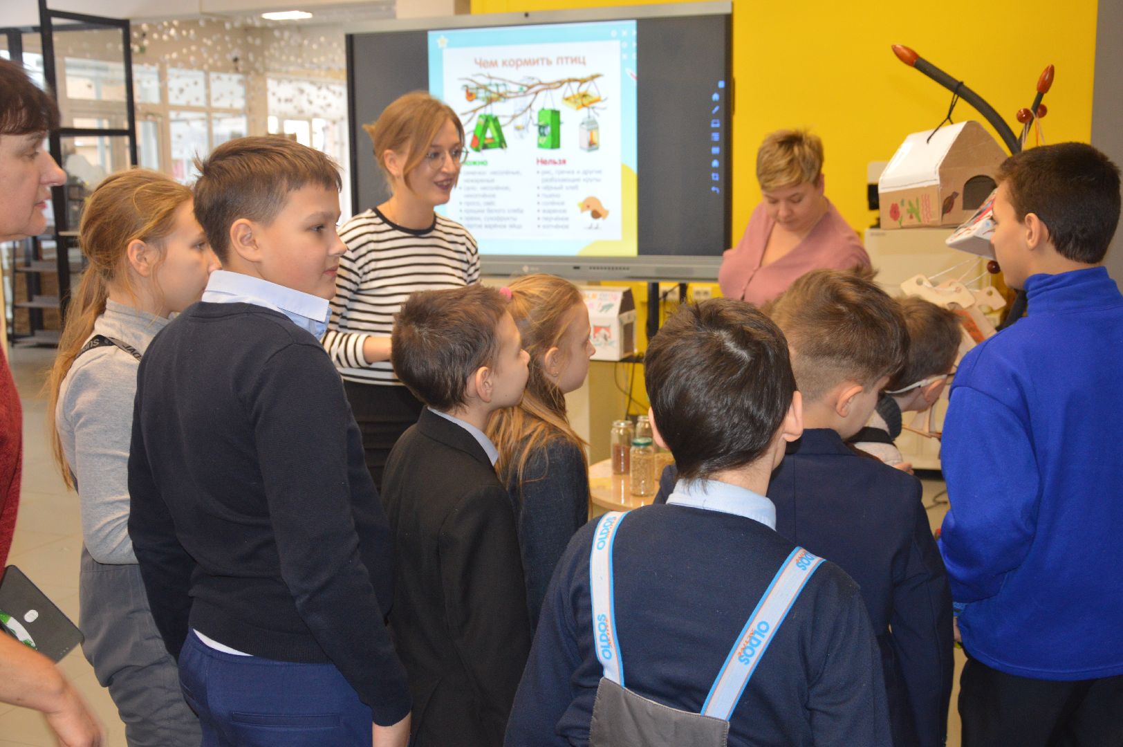 шатура, эко-кормушки, покормите птиц, эко-акция, экология, экологическая акция, экология - дело кажного,