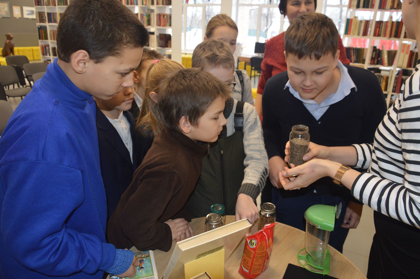 шатура, эко-кормушки, покормите птиц, эко-акция, экология, экологическая акция, экология - дело кажного,