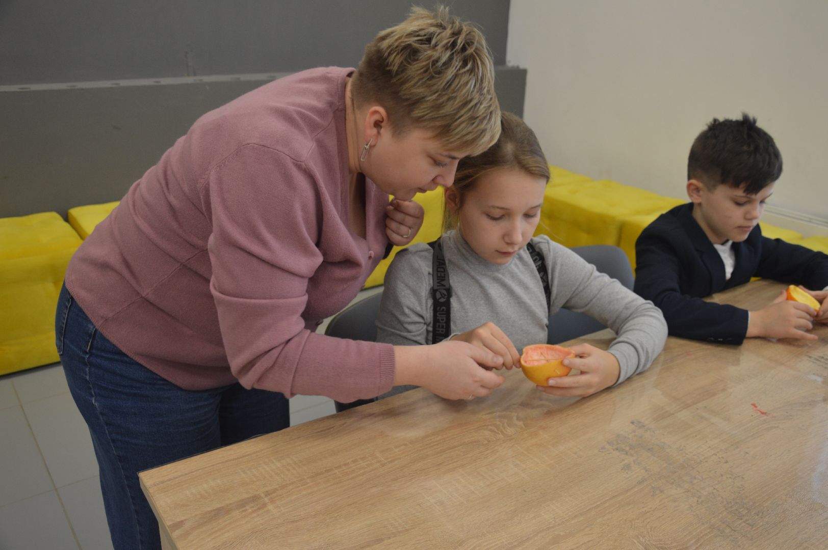 шатура, эко-кормушки, покормите птиц, эко-акция, экология, экологическая акция, экология - дело кажного,