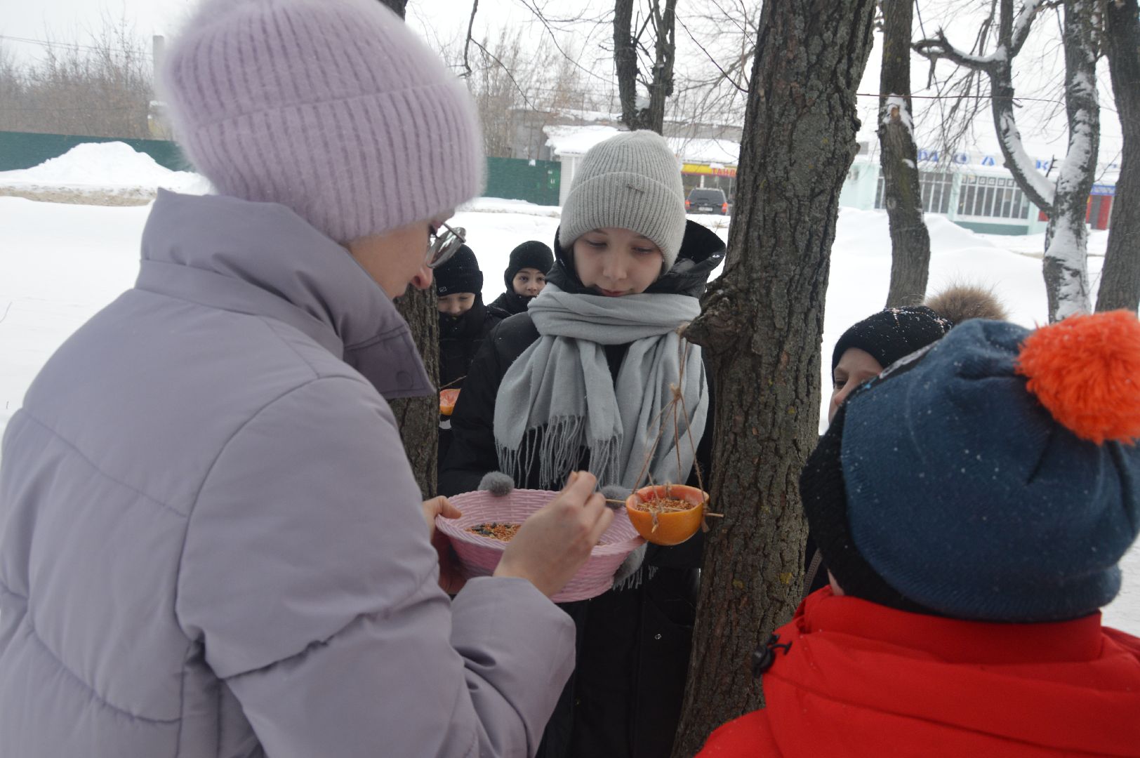 шатура, эко-кормушки, покормите птиц, эко-акция, экология, экологическая акция, экология - дело кажного,