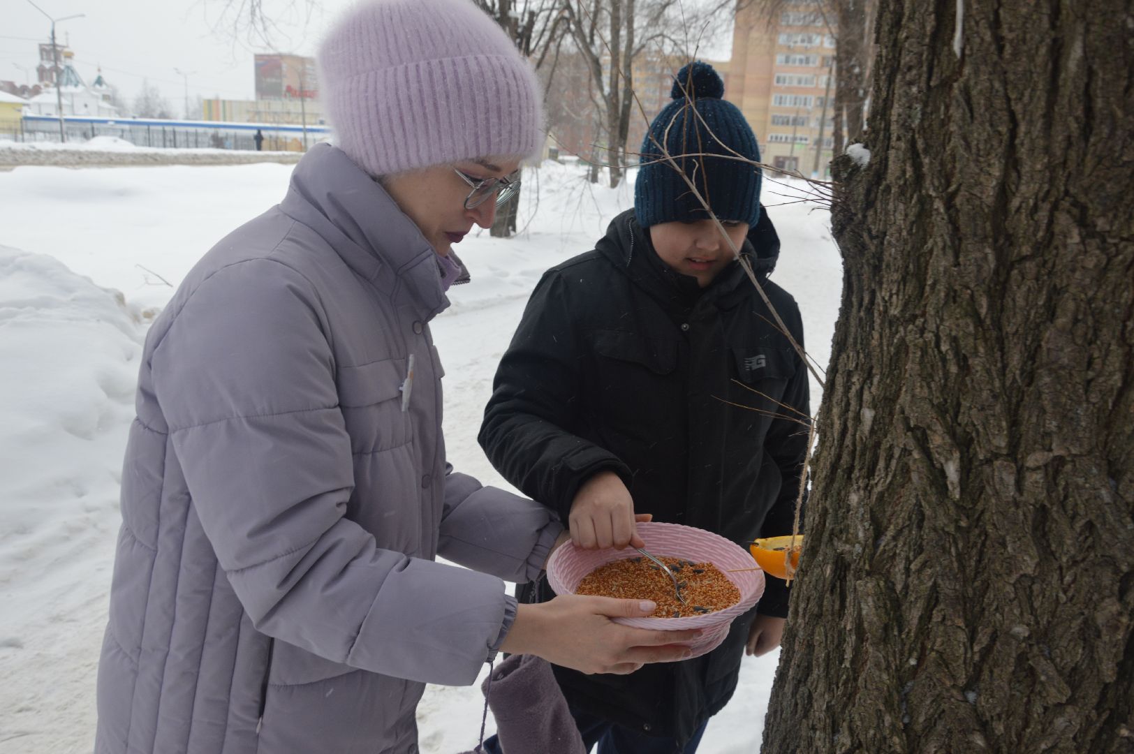 шатура, эко-кормушки, покормите птиц, эко-акция, экология, экологическая акция, экология - дело кажного,