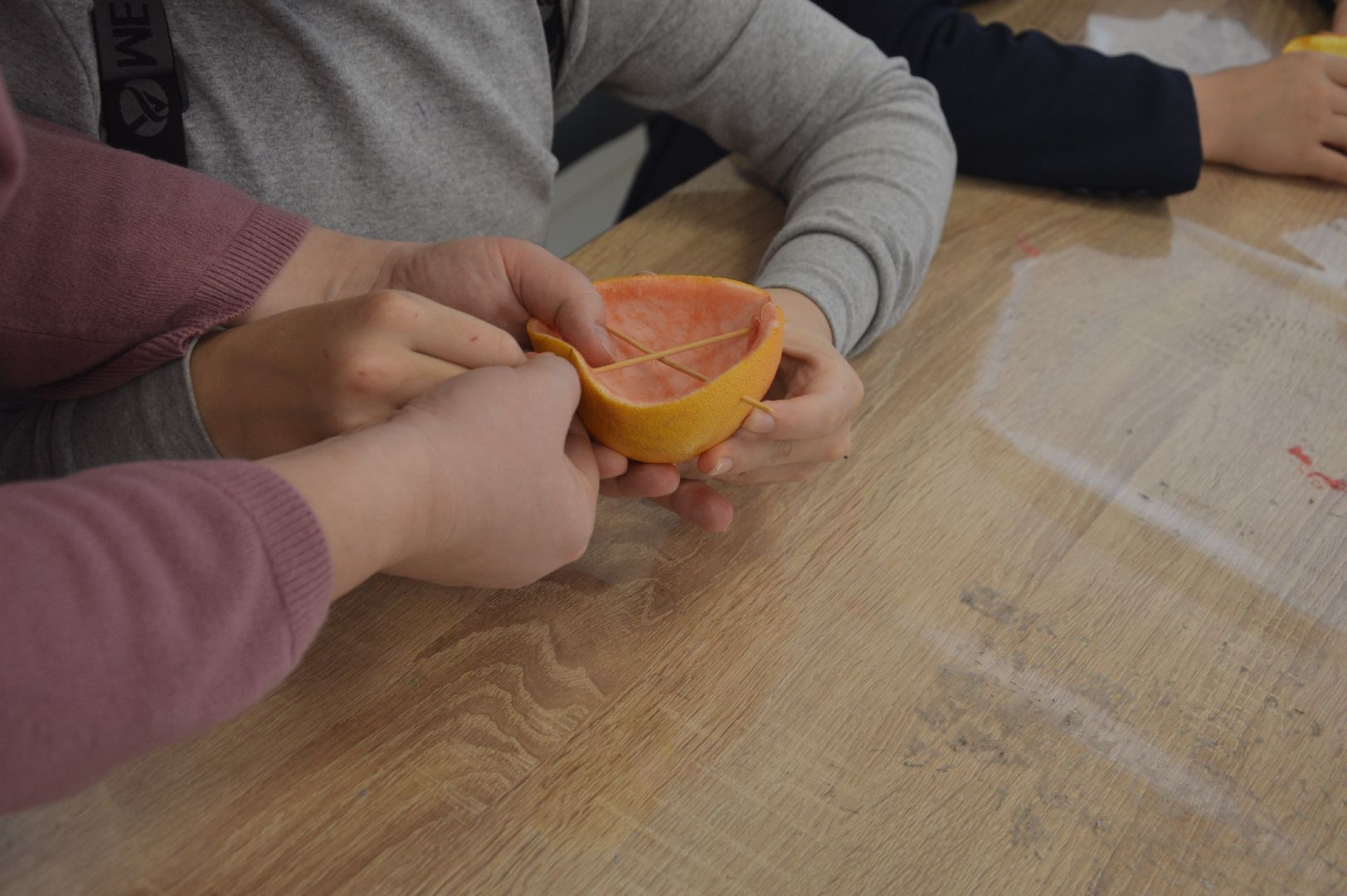 шатура, эко-кормушки, покормите птиц, эко-акция, экология, экологическая акция, экология - дело кажного,