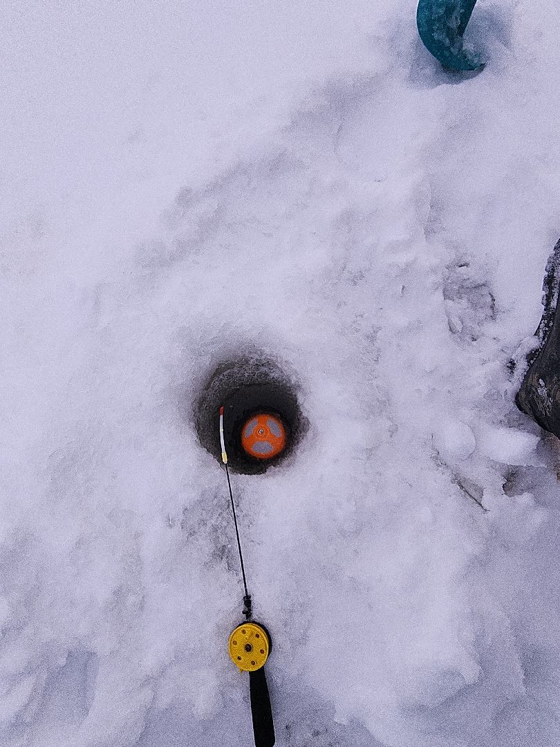 коломна, общество, спасатели, рыбаки,