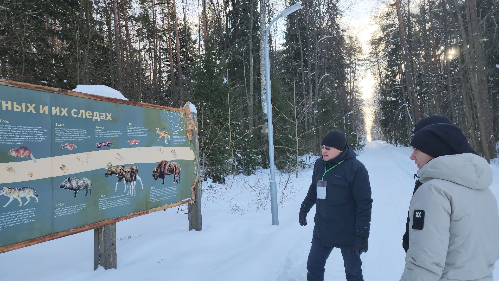 серпухов, подмосковье, заповедник, зубры, бизоны,