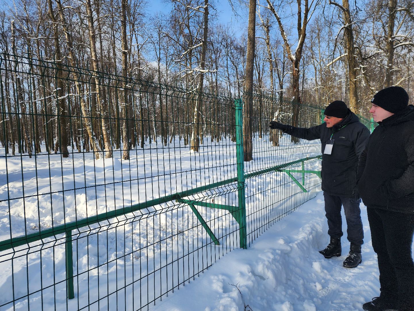 серпухов, подмосковье, заповедник, зубры, бизоны,