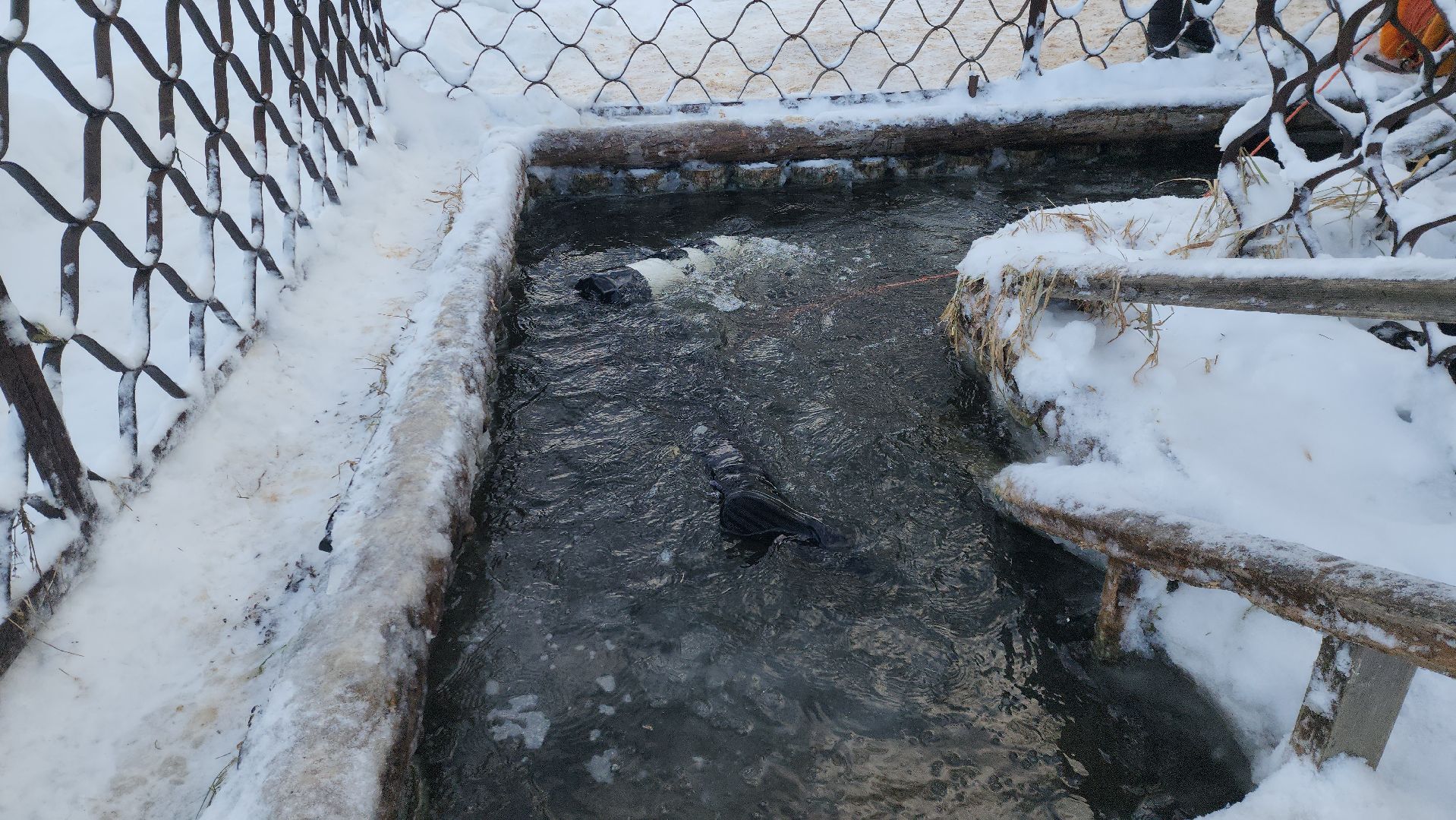 крещение господне, Крещенские купания, безопасность, руза, рузский городской округ, московская область, Подмосковье,