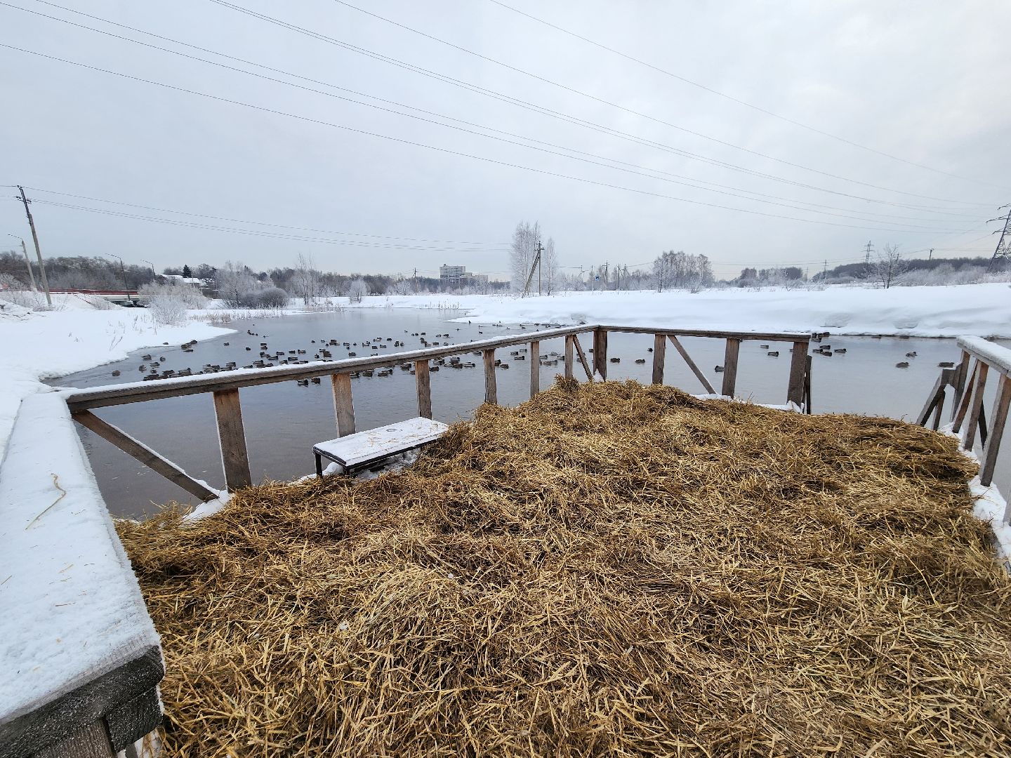 пушкино, крещение господне, крещенские купания, родники,