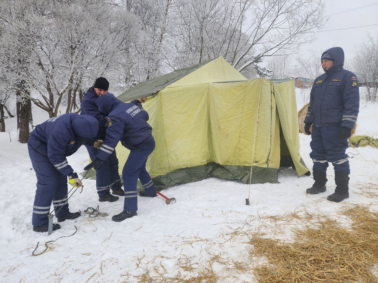 пушкино, крещение господне, крещенские купания, родники,