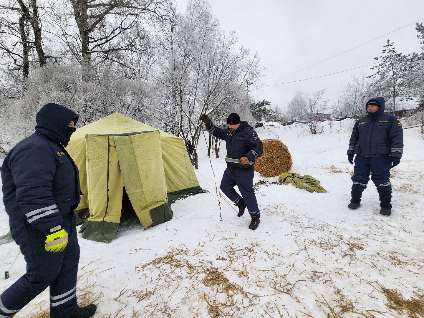 пушкино, крещение господне, крещенские купания, родники,