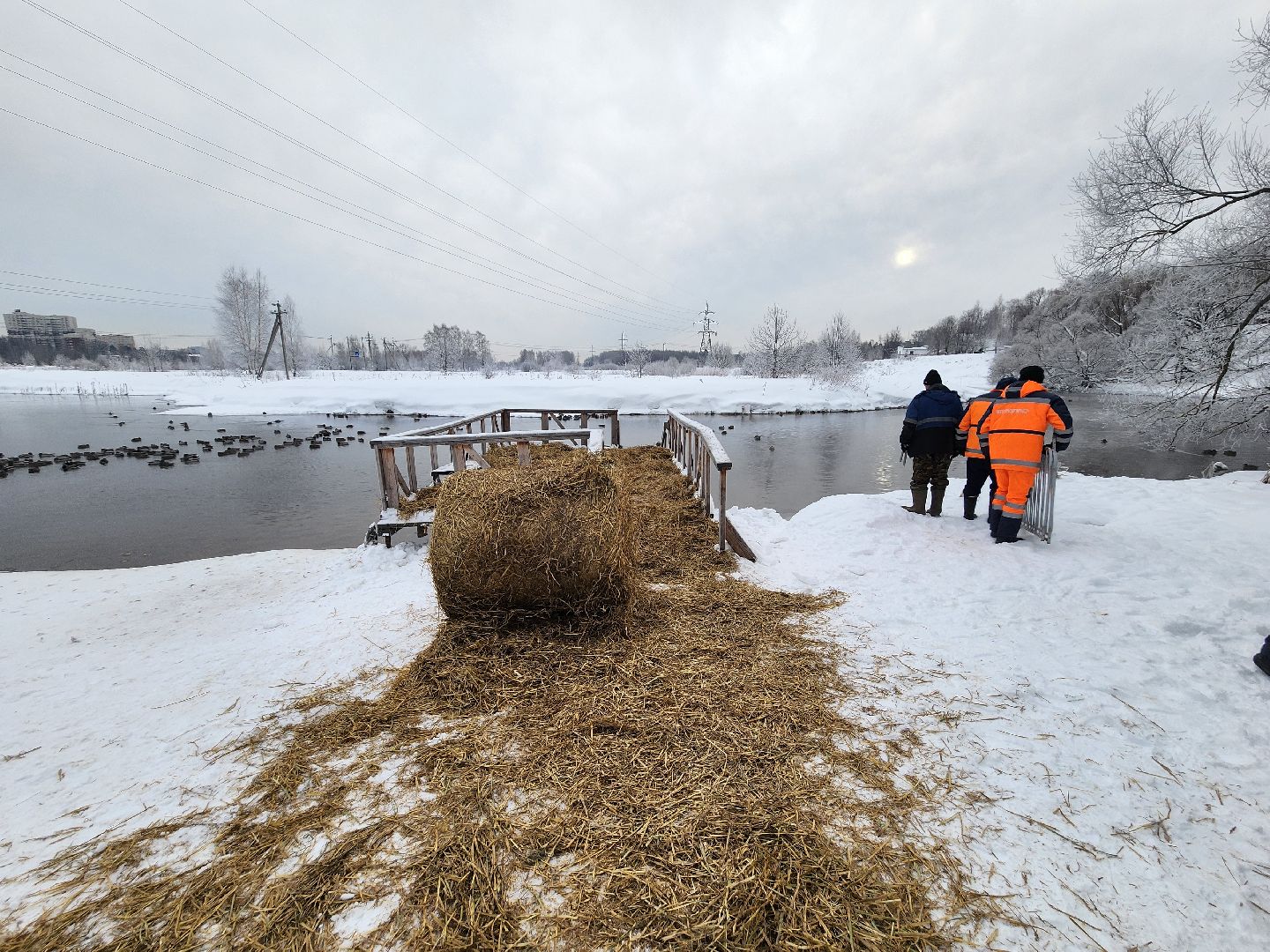 пушкино, крещение господне, крещенские купания, родники,