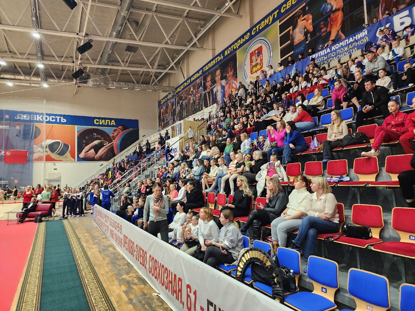 художественная гимнастика, соревнования, орехово зуево,