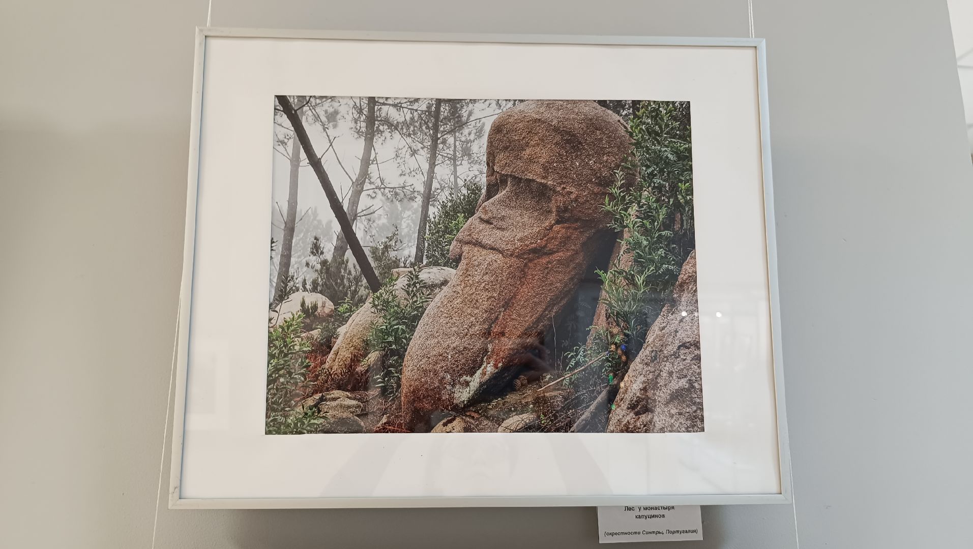 фотография, страны мира, выставка,