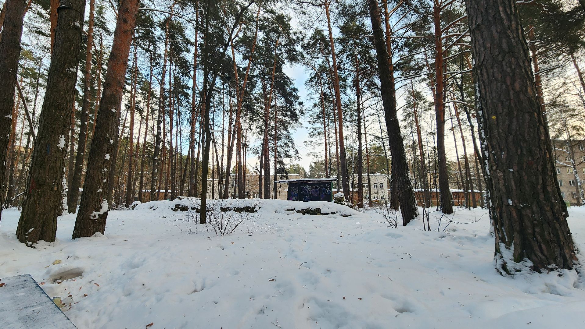 сказка, общественное пространство, проект, диалог, протвино,