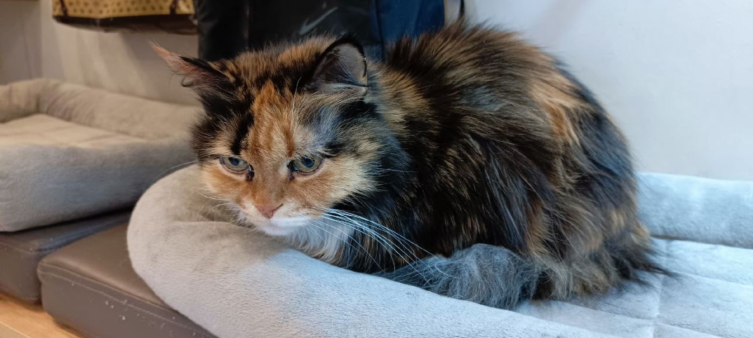 Дмитров, Яхрома, Коммунальное ЧП,