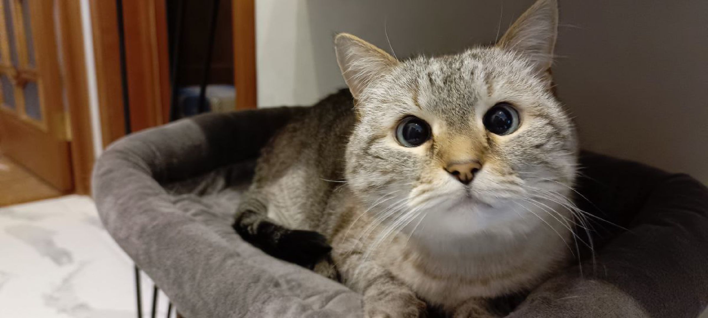 Дмитров, Яхрома, Коммунальное ЧП,