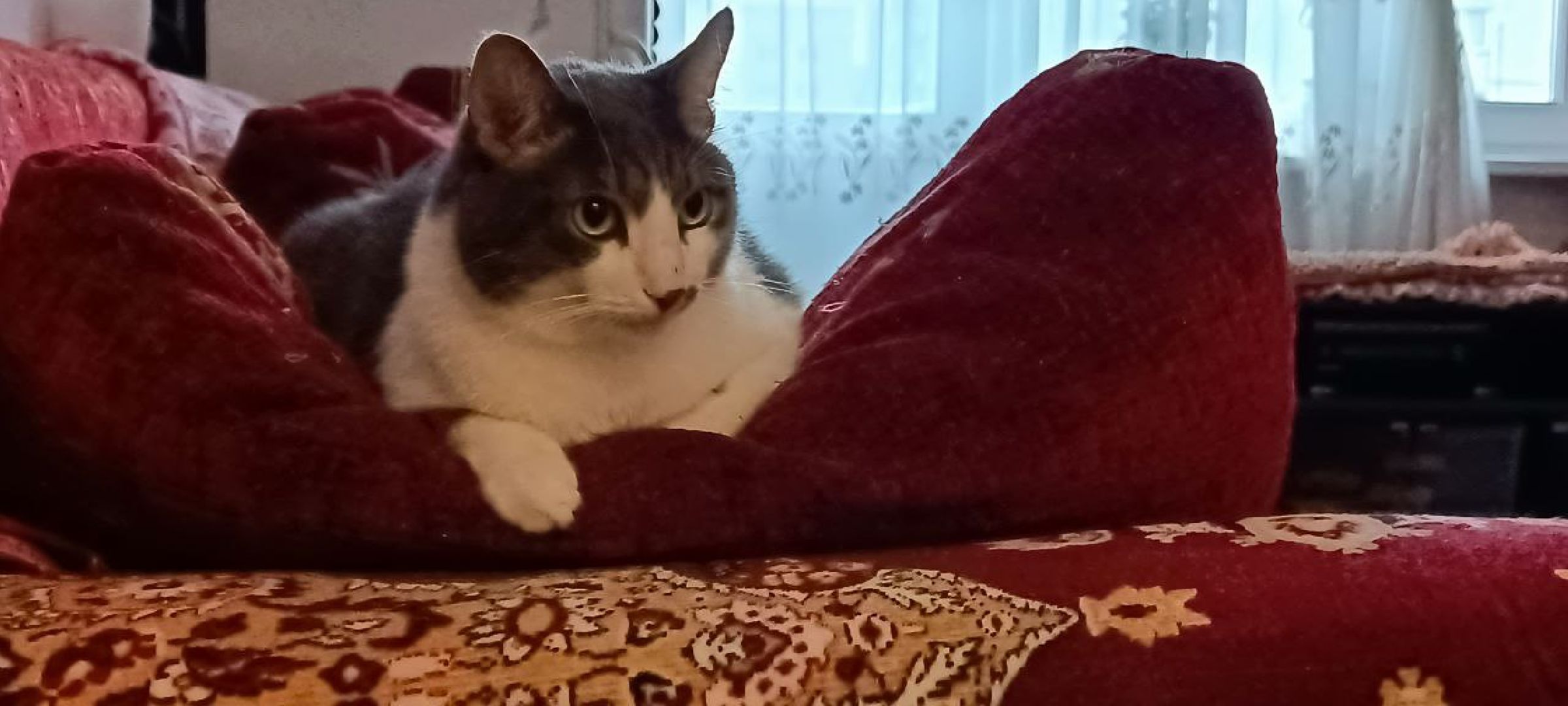 Дмитров, Яхрома, Коммунальное ЧП,