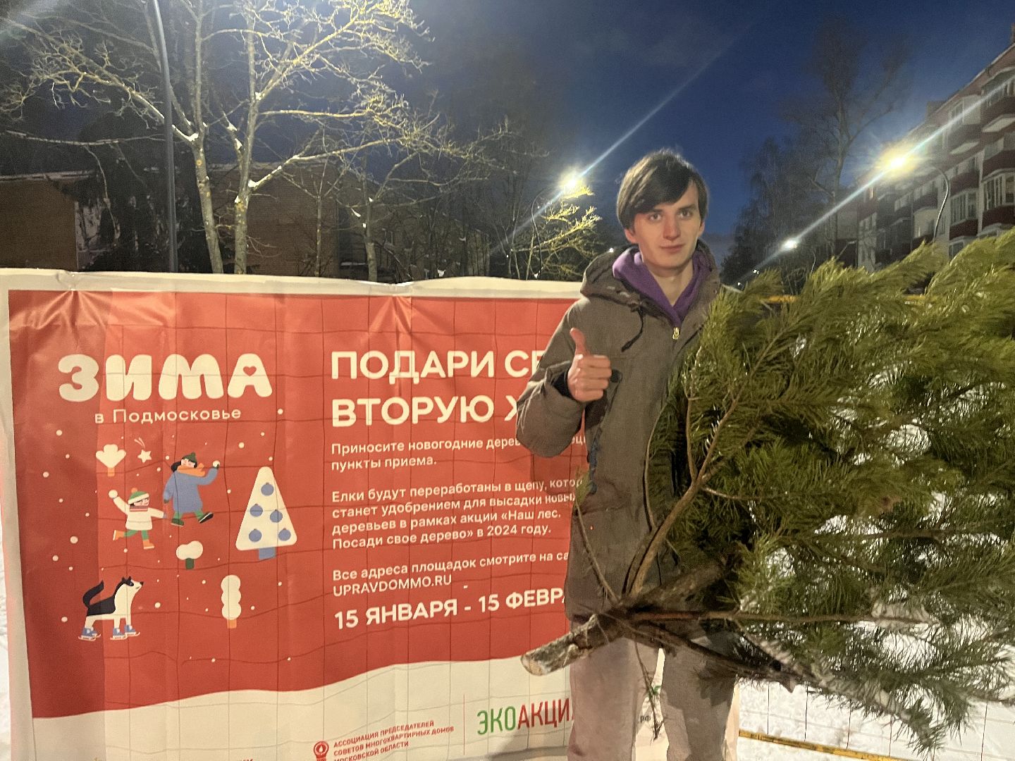 город, новогодняя елка, эко,