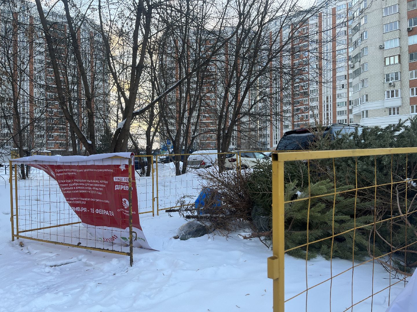 город, новогодняя елка, эко,