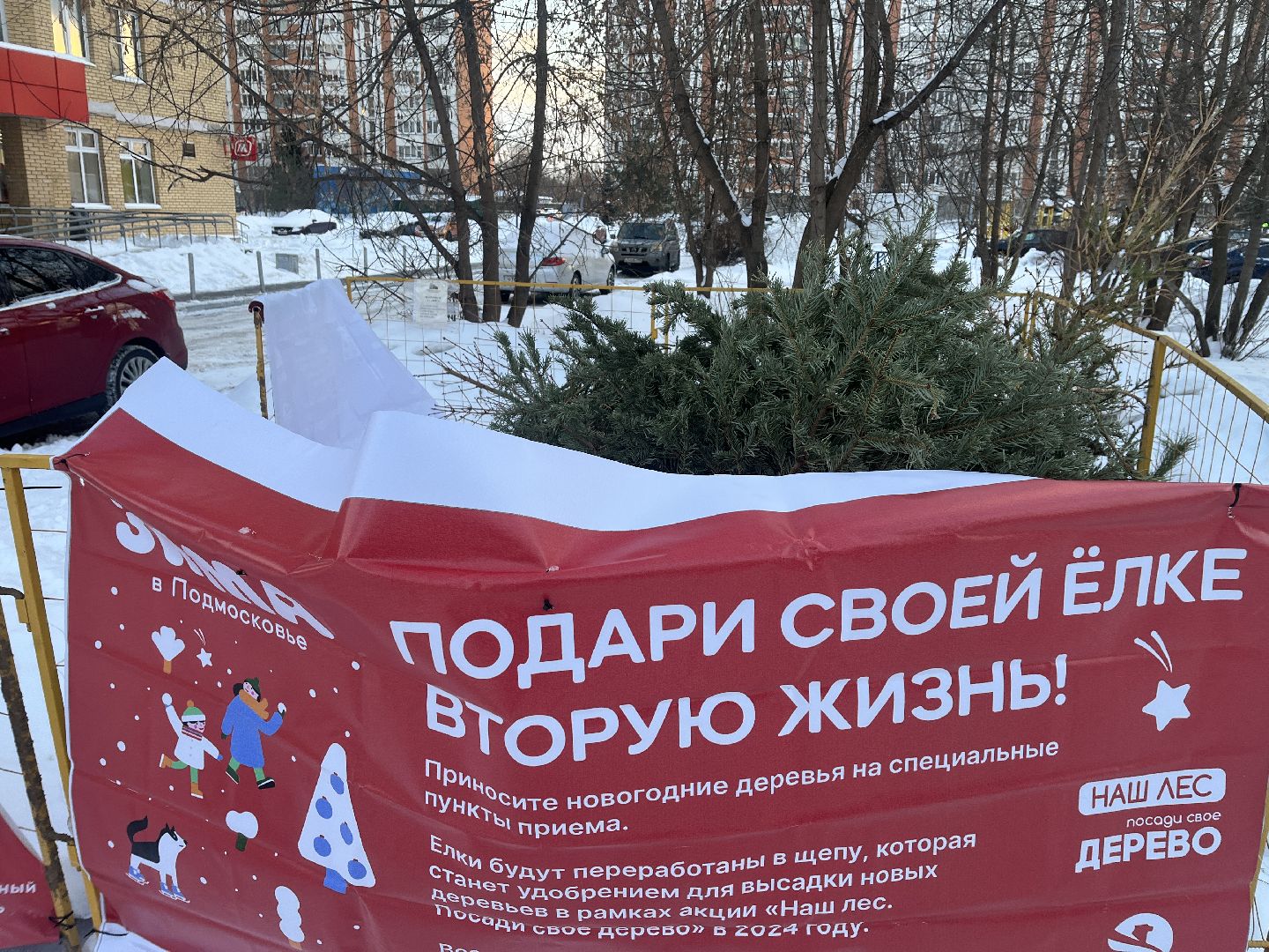 город, новогодняя елка, эко,