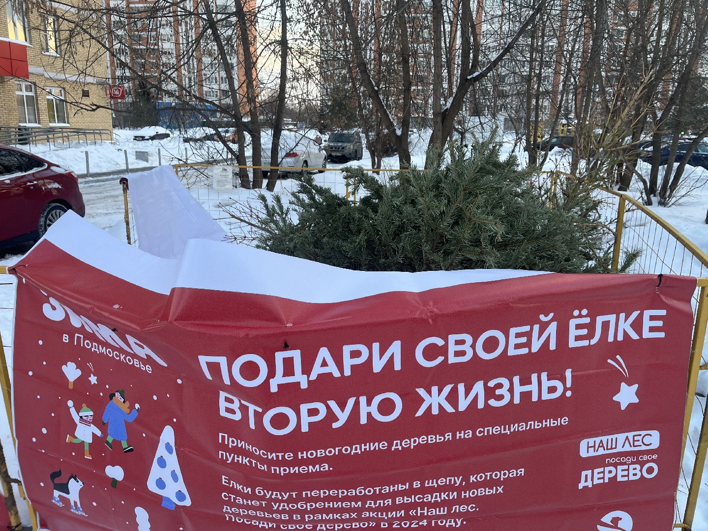 город, новогодняя елка, эко,