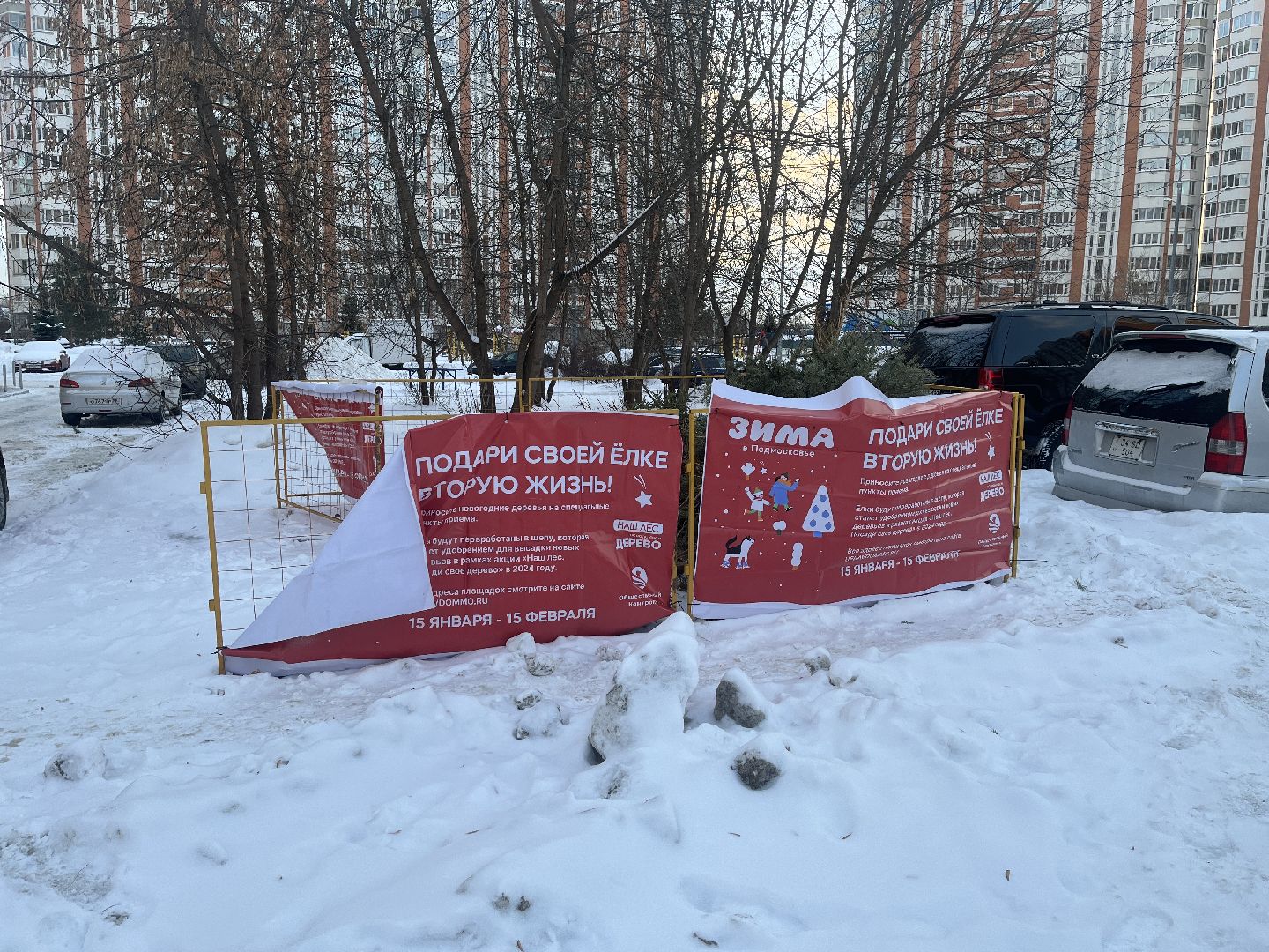 город, новогодняя елка, эко,