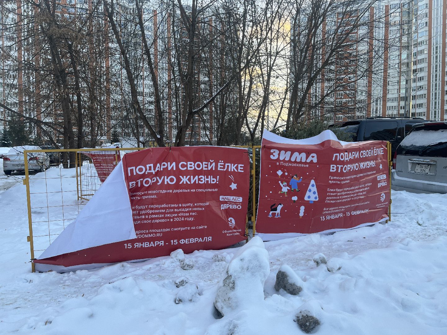 город, новогодняя елка, эко,