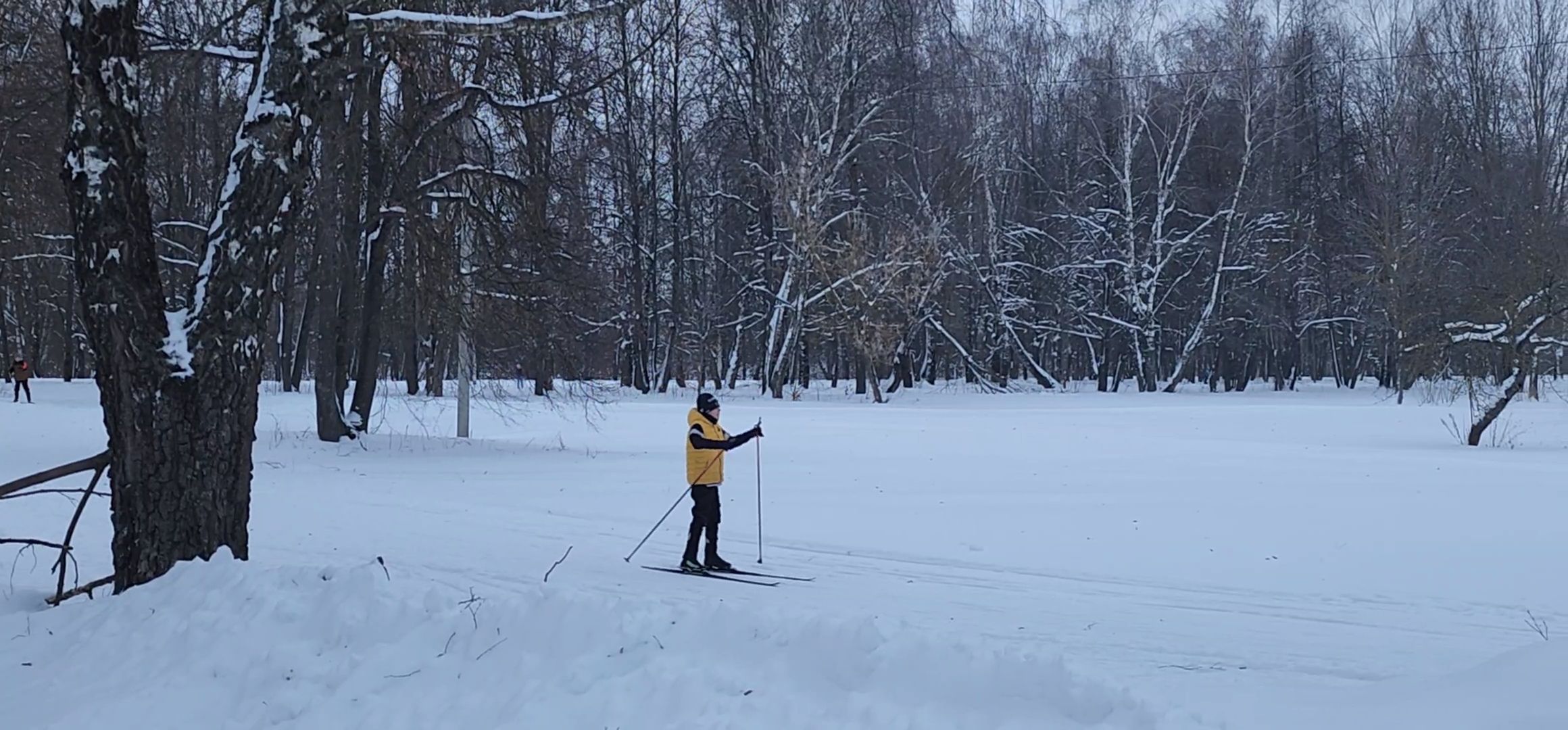 Коломна, зимние виды спорта, каток, хоккей, лыжная трасса,