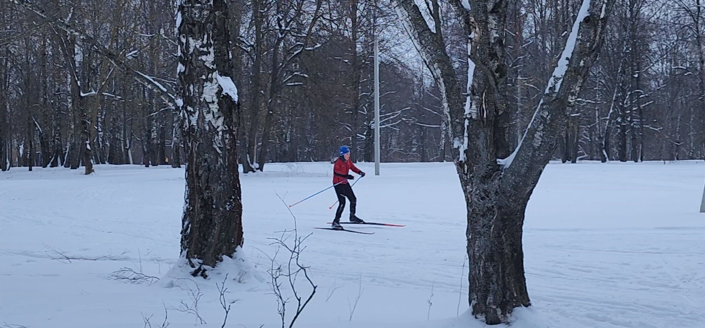 Коломна, зимние виды спорта, каток, хоккей, лыжная трасса,
