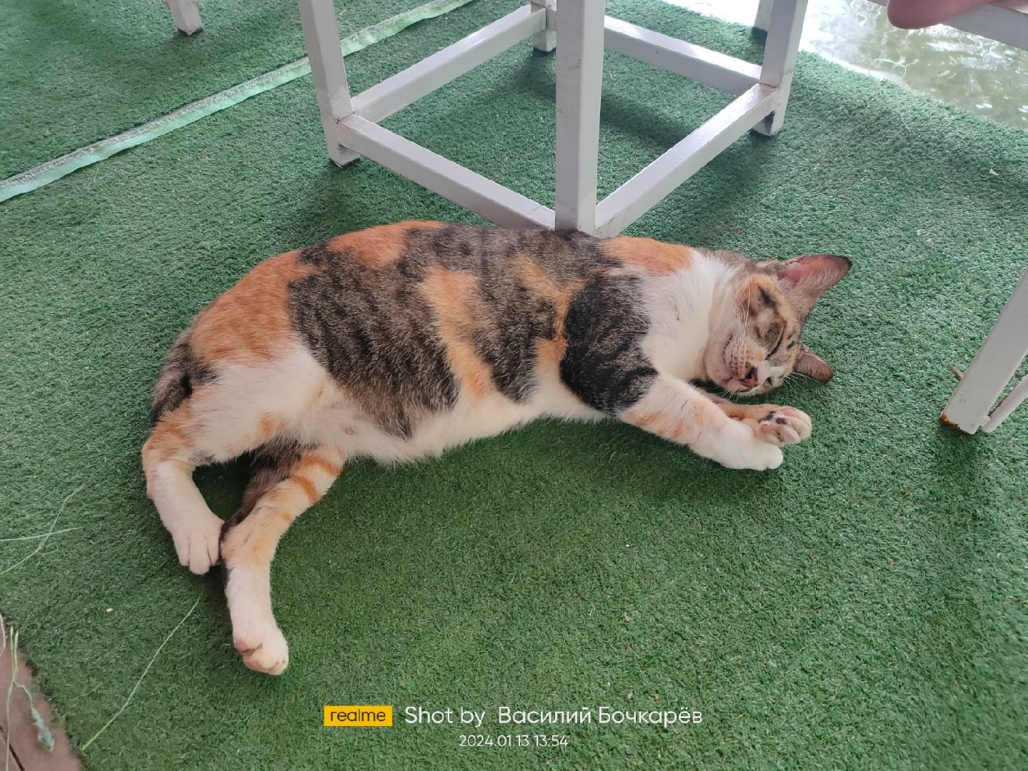 Звенигород, туризм в подмосковье, Рекорды мира,