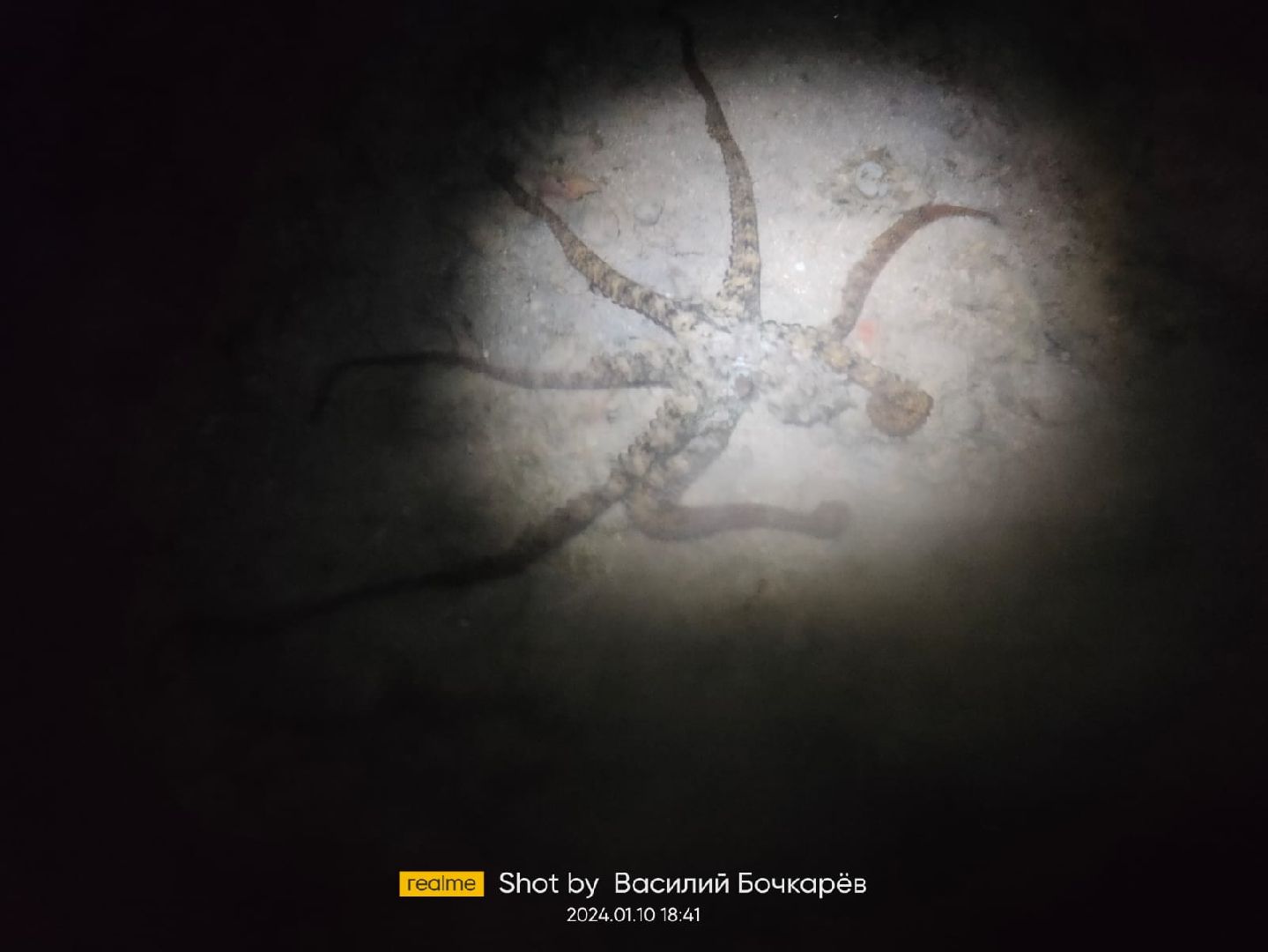 Звенигород, туризм в подмосковье, Рекорды мира,