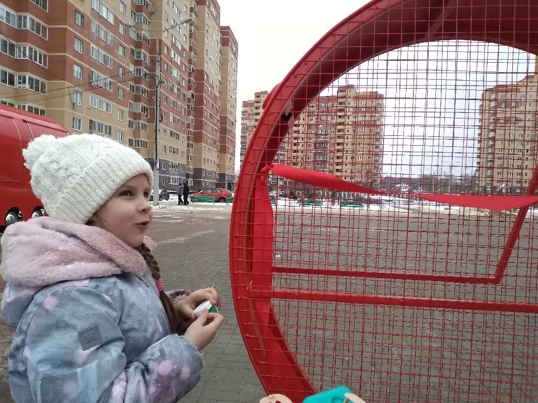 Лосино-Петровский, общество