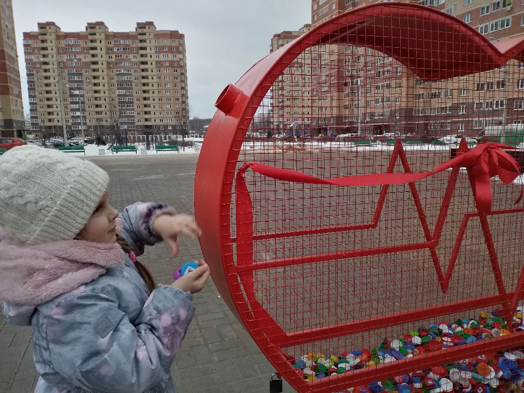 Лосино-Петровский, общество
