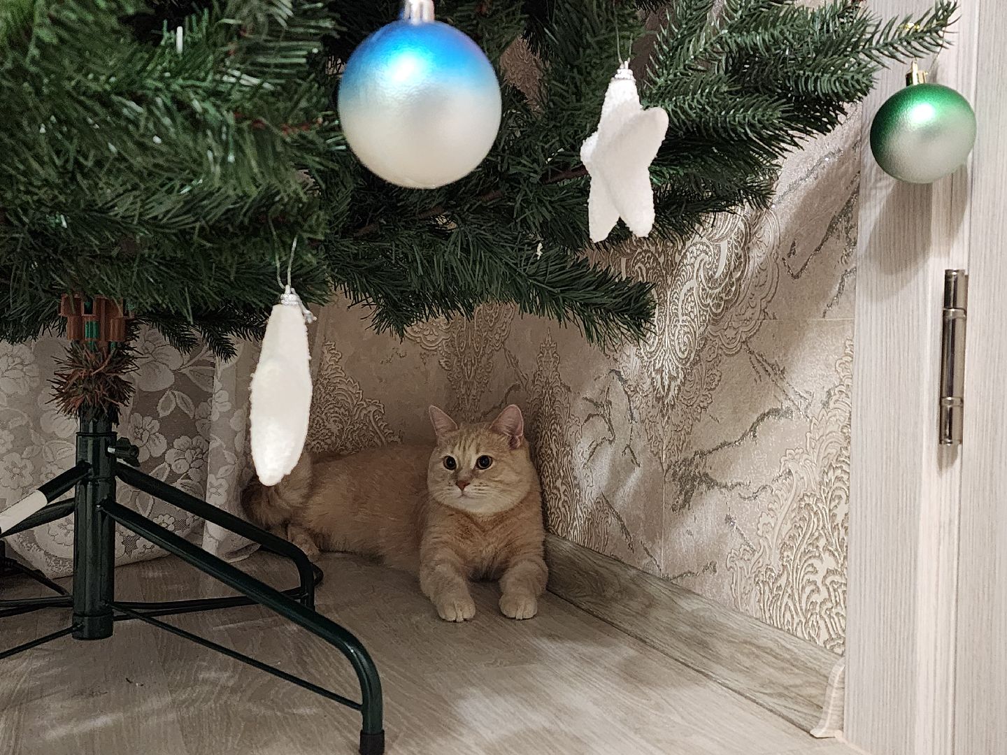 воскресенск, отопление, жкх, жители, тепло в домах, подмосковье, глава города, котельная,