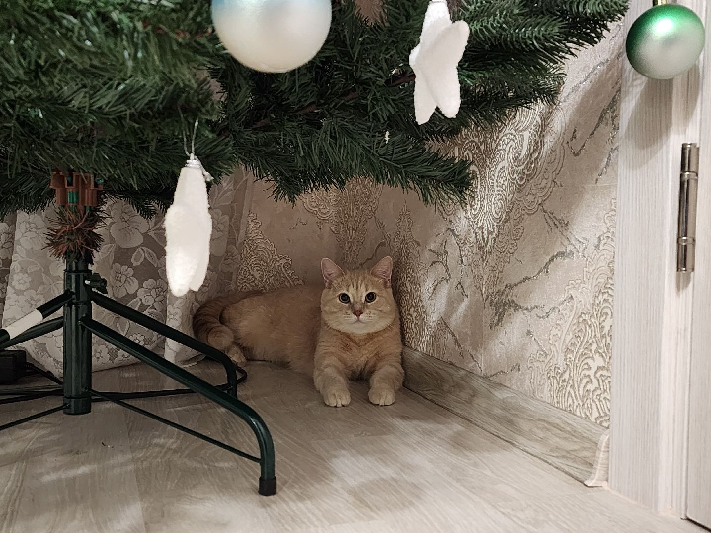 воскресенск, отопление, жкх, жители, тепло в домах, подмосковье, глава города, котельная,