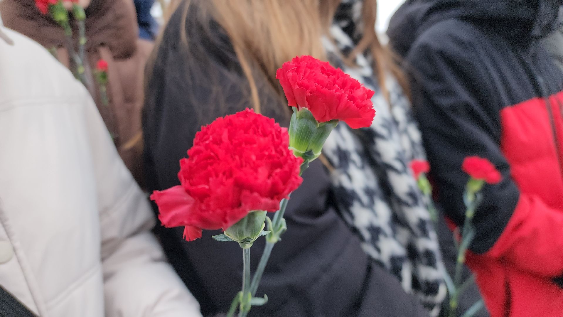 великая отечественная война, освобождение города, населенный пункт воинской доблести, руза, рузский городской округ, московская область, подмосковье,