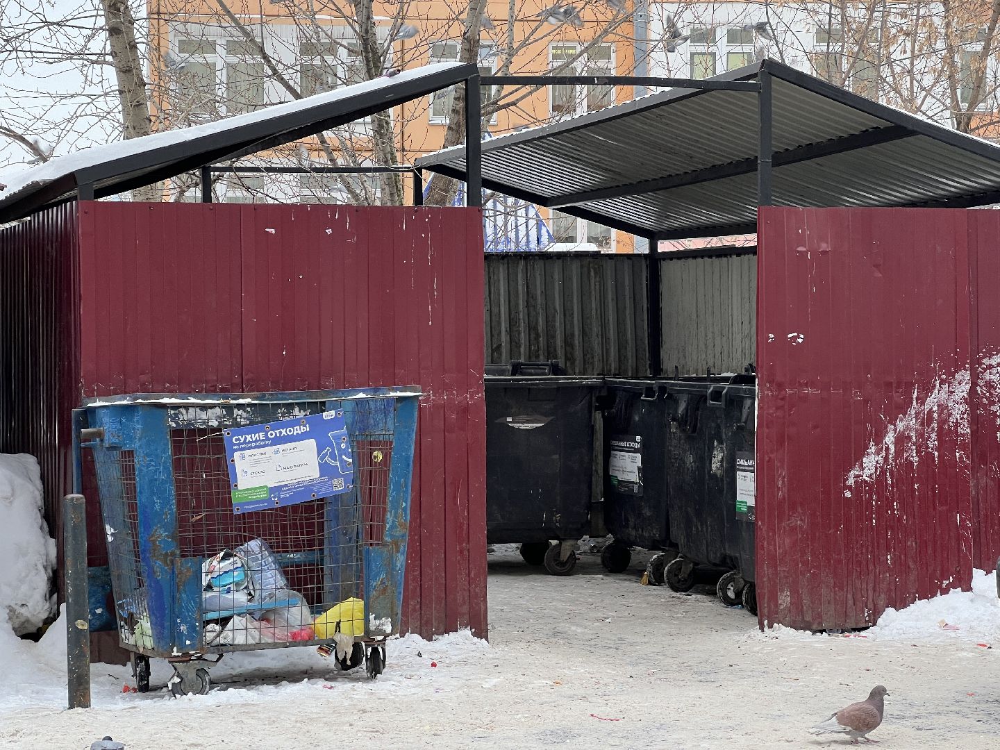 химки, уборка мусора, контейнерная площадка, мусорные контейнеры,