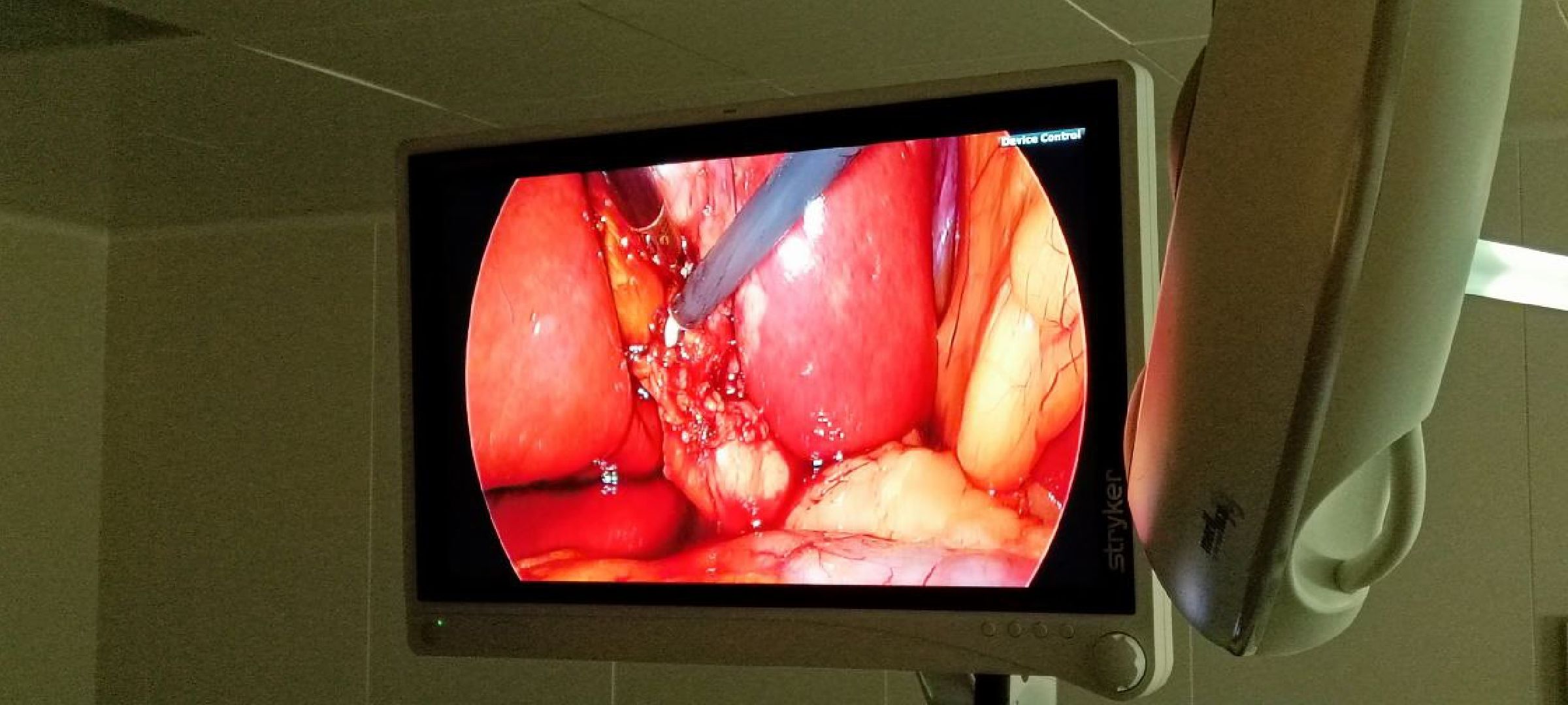 Дмитров, Дмитровская больница, Премия Подмосковный врач,