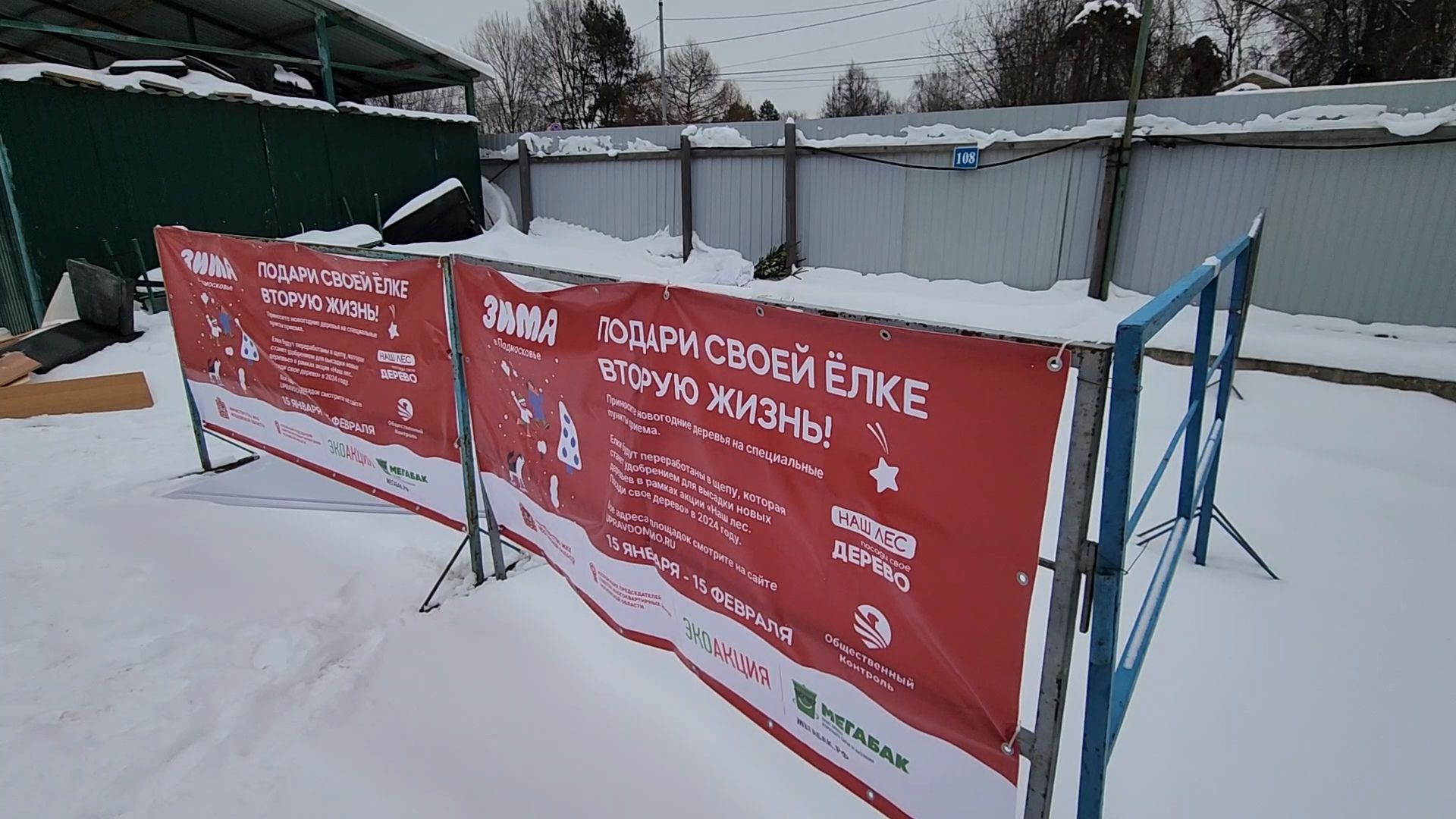 Одинцово, ель, новый год, рождество, подари своей елке новую жизнь, акция, утилизация, переработка,