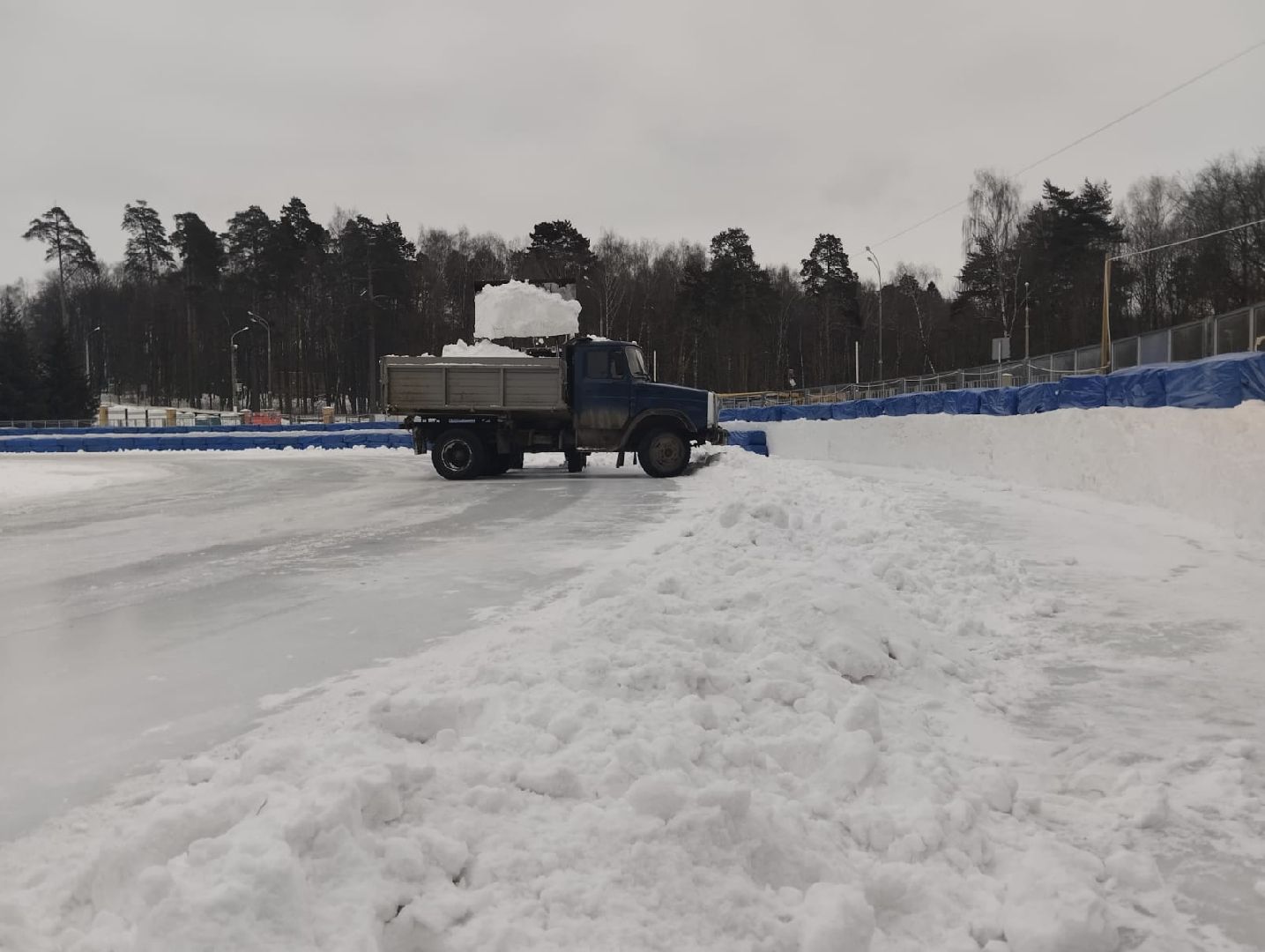 Красногорск, спорт